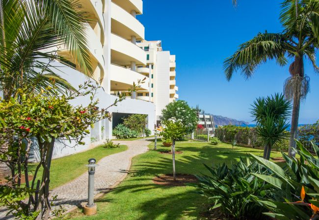 Apartamento em Funchal - The Cliff Side Apartment - by MHM