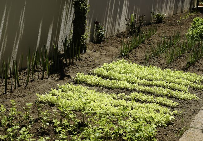 Alquiler por habitaciones en Cascais - BeGuest Casa Birre Quarto 6