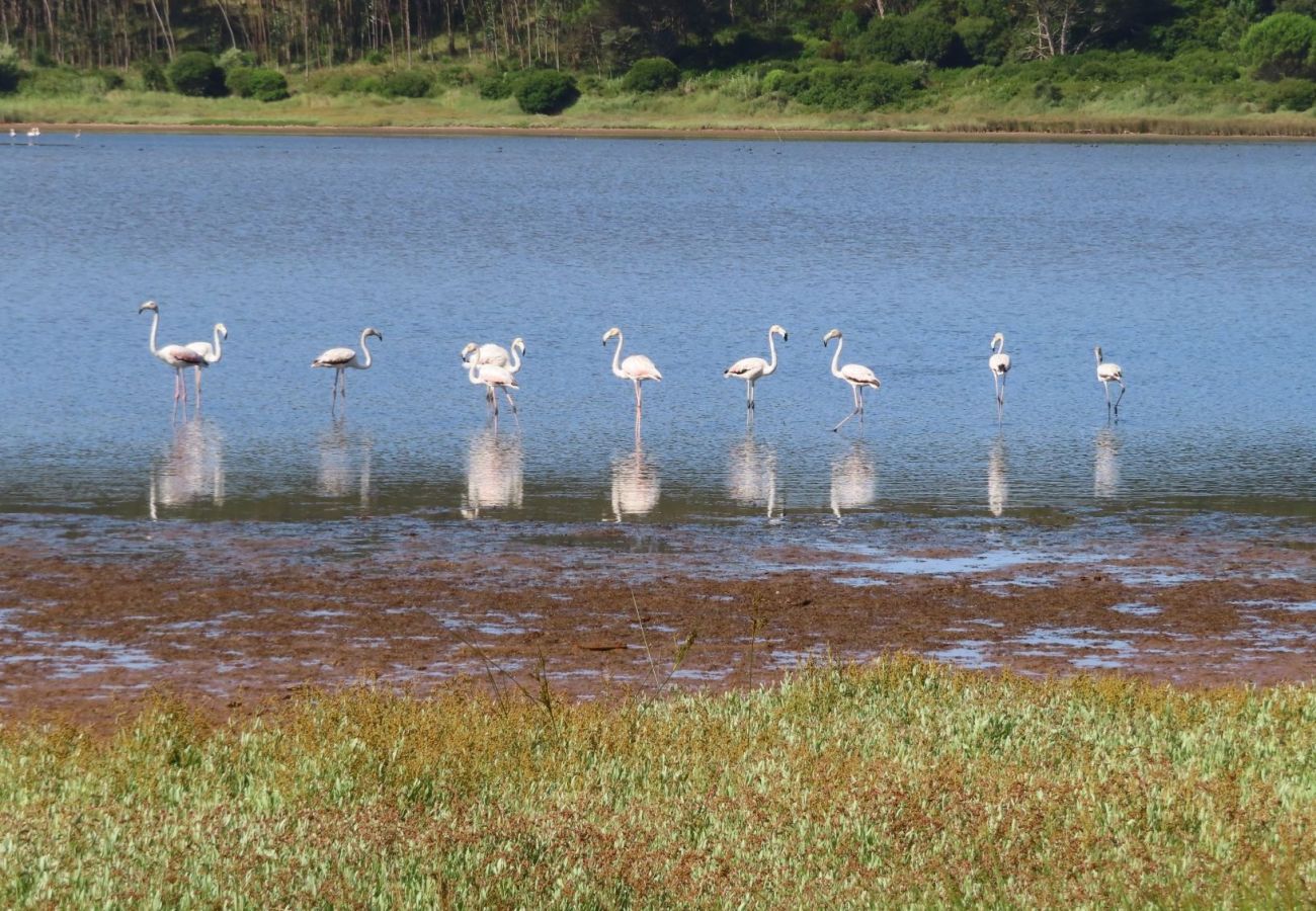 Villa in Nadadouro - BeGuest Lagoon Refuge